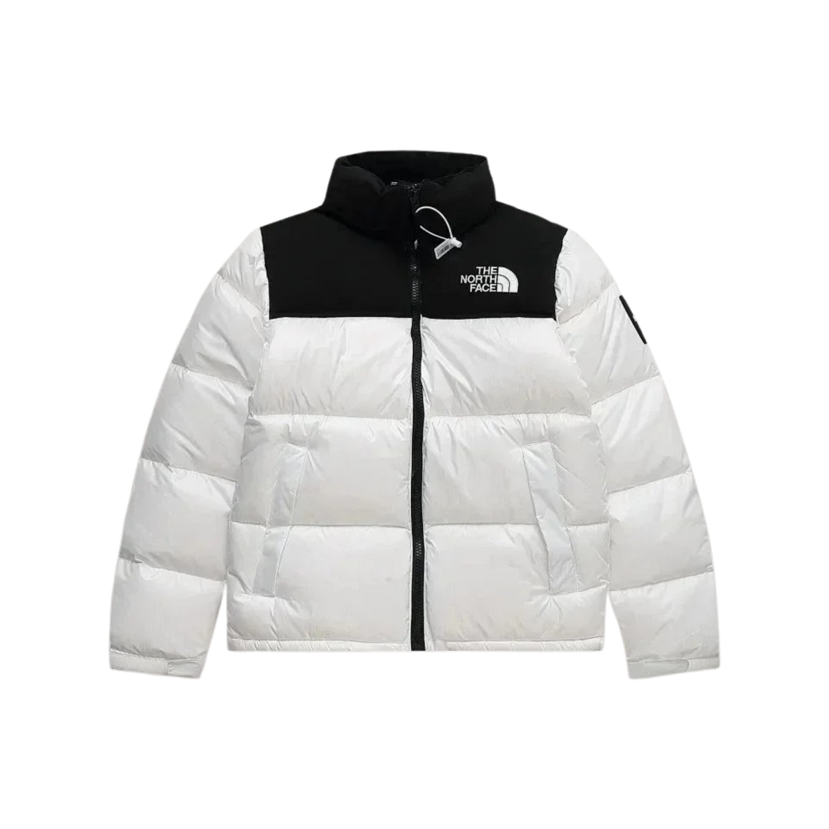 "TNF JACKET"
